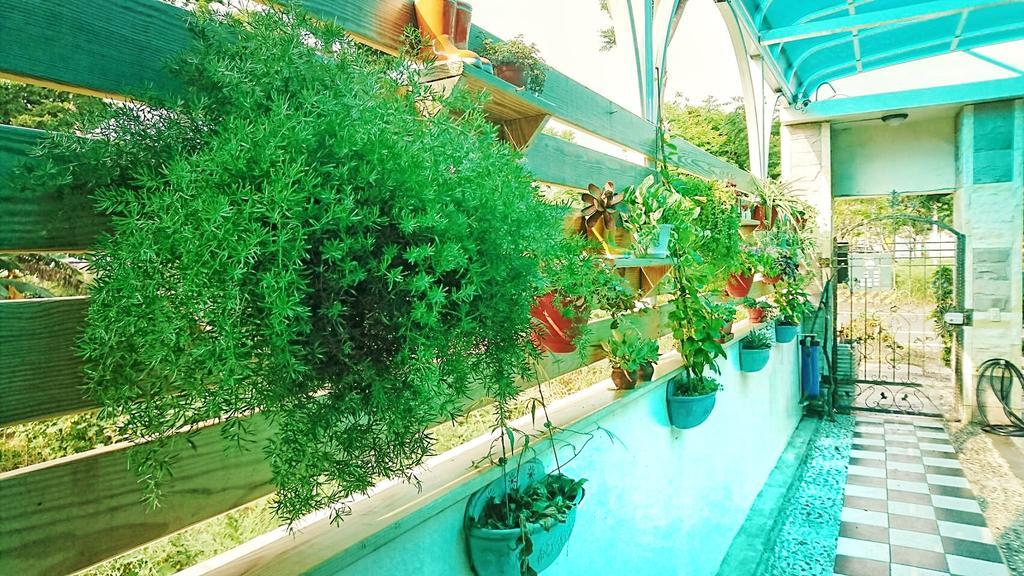 Taitung Camellia B&B מראה חיצוני תמונה
